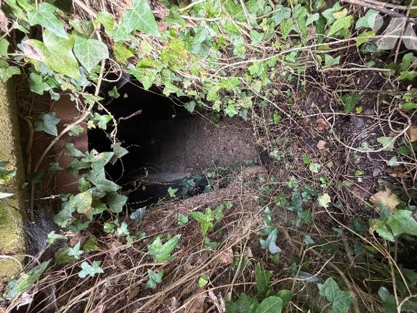 A CARROUGES - une maison d'habitation à rénover (93m²), en plein coeur de CARROUGES