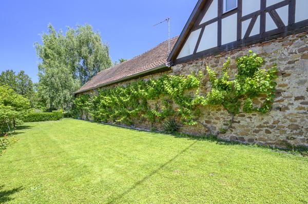 Magnifique Corps de ferme rénové 28 ares env. dépendances.