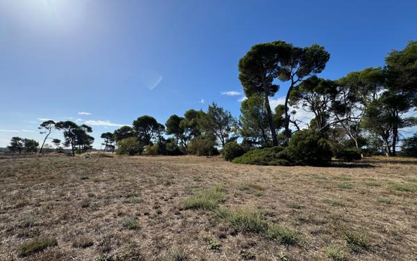 Maison à vendre    4 pièces •  Béziers