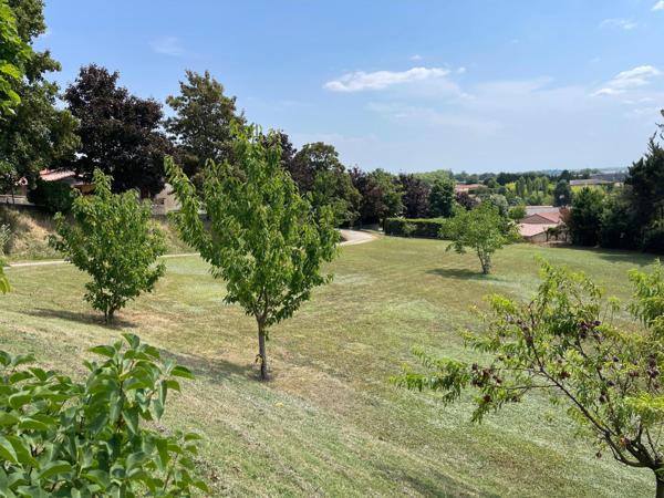 30 MINUTES DE TOULOUSE VUE PYRENNEES PARC DECORE DE 6000 M²