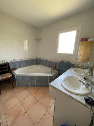 30 MINUTES DE TOULOUSE VUE PYRENNEES PARC DECORE DE 6000 M²