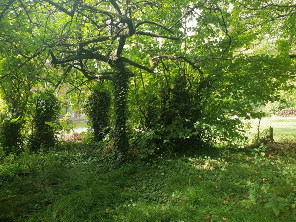 À vendre - Maison bourgeoise, 6 pièces située à Compiègne (60200)