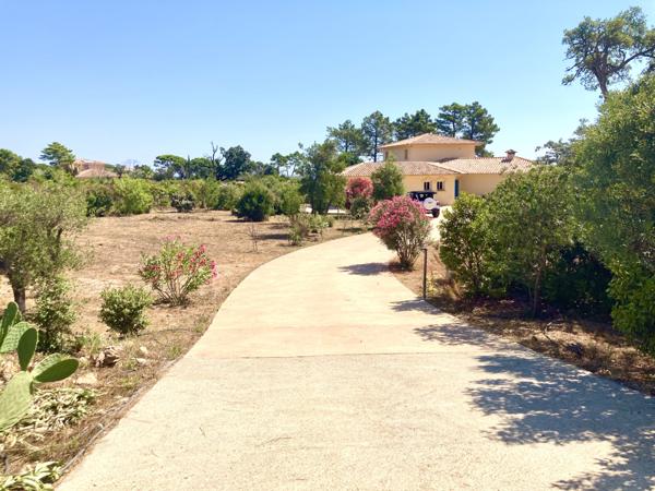 Sari-Solenzara (20145) Pieds dans l’eau corse du sud