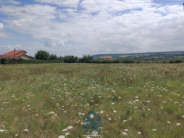 Terrain constructible 7210 M²