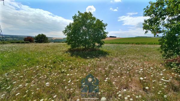 Terrain constructible 7210 M²