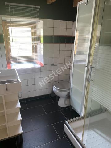 Maison  meublée  avec mezzanine 1 pièce(s), petit extérieur à 5 min Yssingeaux