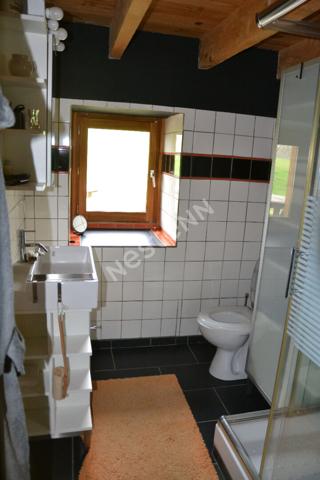 Maison  meublée  avec mezzanine 1 pièce(s), petit extérieur à 5 min Yssingeaux