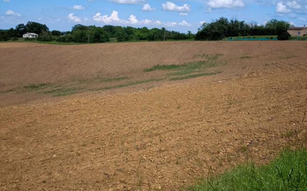 Terrain à vendre    Aignan