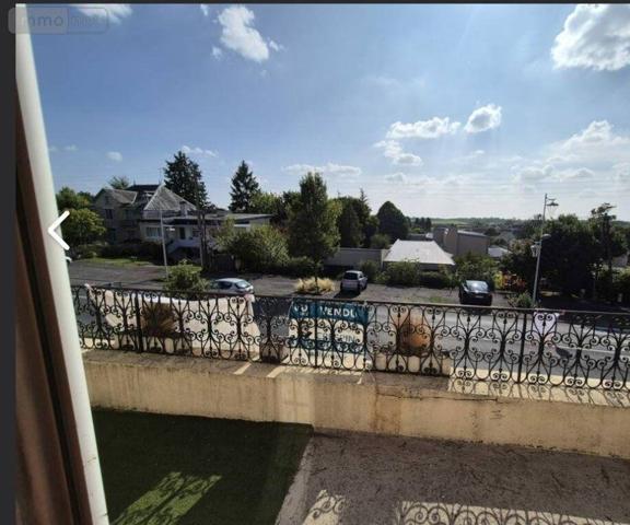 Maison à vendre à Châtillon-sur-Indre dans l'Indre (36700), ref : 1050354