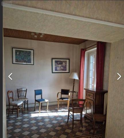 Maison à vendre à Châtillon-sur-Indre dans l'Indre (36700), ref : 1050354