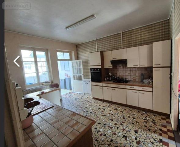 Maison à vendre à Châtillon-sur-Indre dans l'Indre (36700), ref : 1050354