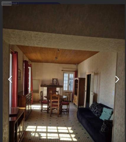 Maison à vendre à Châtillon-sur-Indre dans l'Indre (36700), ref : 1050354