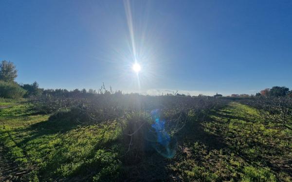 Maison à vendre    4 pièces •  Baho