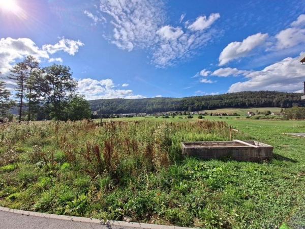 Vente / Terrain constructible à Bois-d'Amont (39220)