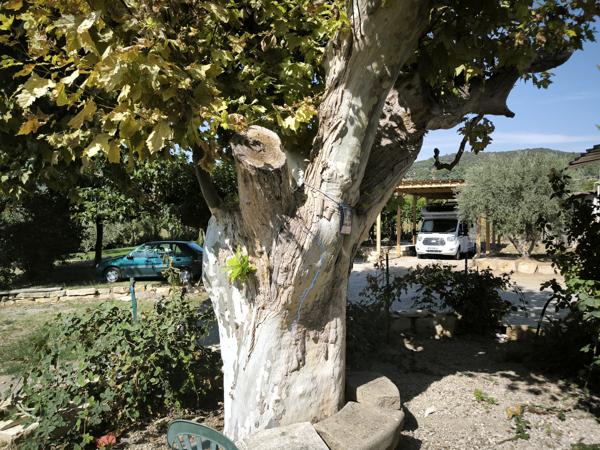 proche MANOSQUE(04)grand MAS NAPOLEONIEN 240m2 au calme à aménager de m2 avec T2 terrain 3998 m2