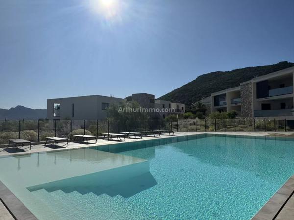 Vente Appartement 2 pièces 44 m2 à Calvi