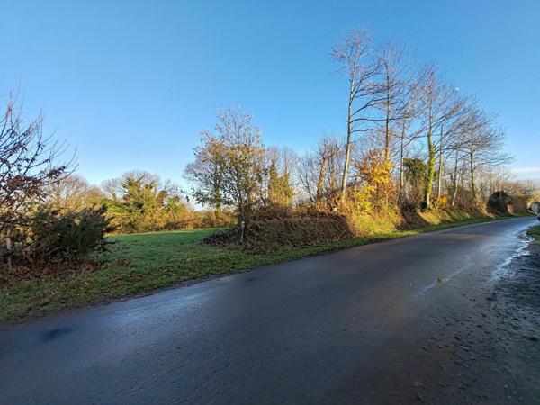 Superbe terrain 6 871m² en zone agricole