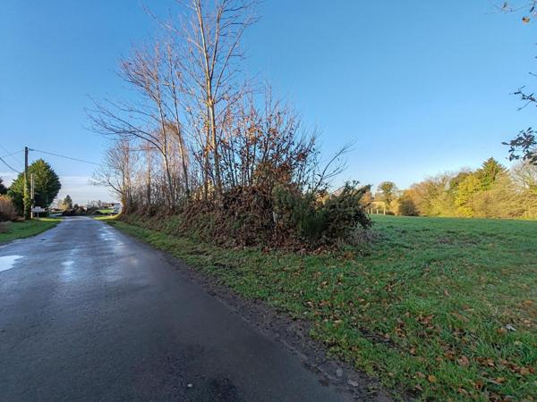 Superbe terrain 6 871m² en zone agricole