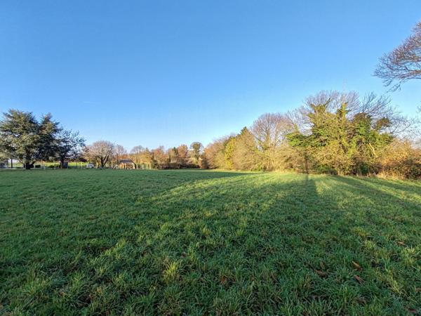 Superbe terrain 6 871m² en zone agricole