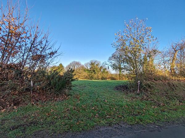 Superbe terrain 6 871m² en zone agricole