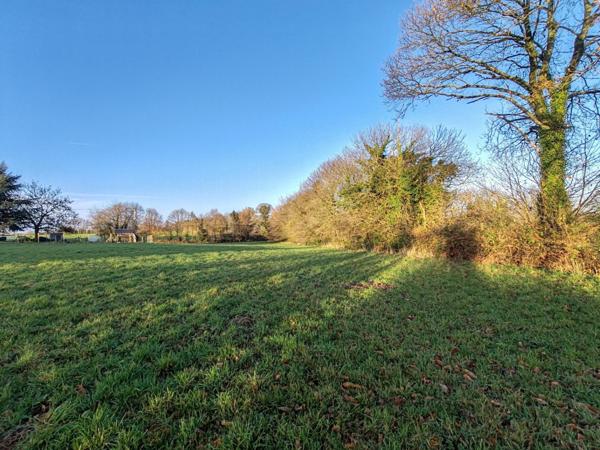 Superbe terrain 6 871m² en zone agricole