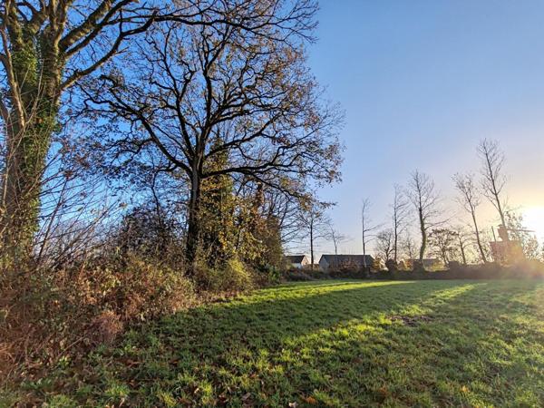 Superbe terrain 6 871m² en zone agricole