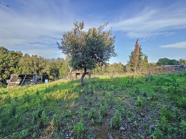 Mas de plain-pied avec dépendance et terrain en pleine nature – Extérieurs de Faugères – Cadre préservé sans voisinage