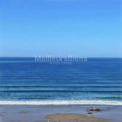 Magnifique appartement de 45m2 avec vue mer - terrasse et parking