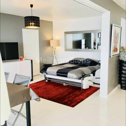 Magnifique appartement de 45m2 avec vue mer - terrasse et parking