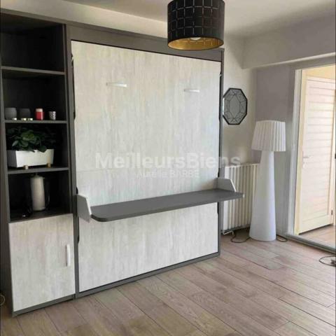 Magnifique appartement de 45m2 avec vue mer - terrasse et parking