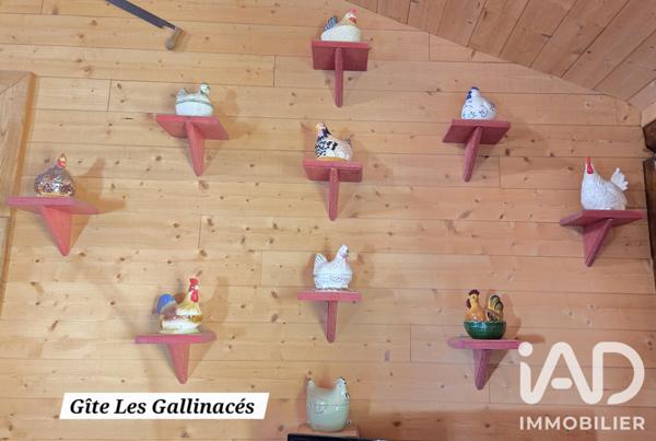 Immeuble à vendre 344 m² Docelles