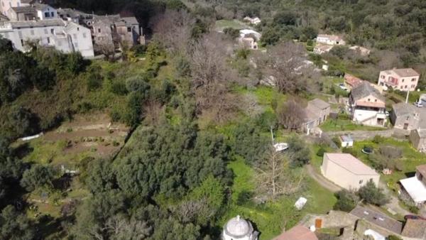 Luri (20228) Terrain ensoleillé 1800 m² avec CU positif