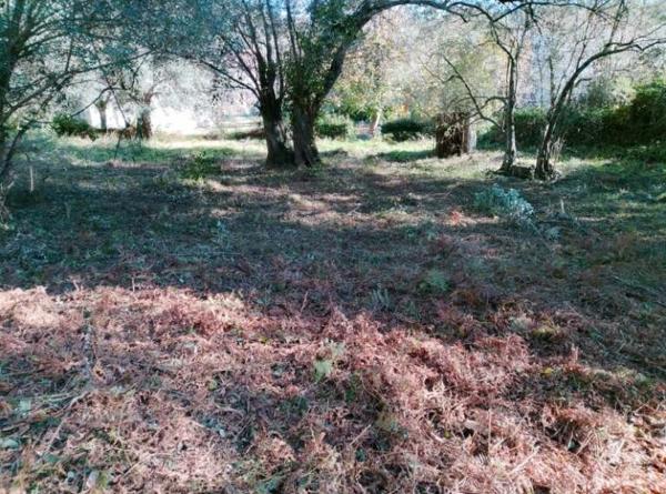 Luri (20228) Terrain ensoleillé 1800 m² avec CU positif