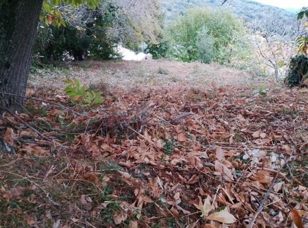 Luri (20228) Terrain ensoleillé 1800 m² avec CU positif