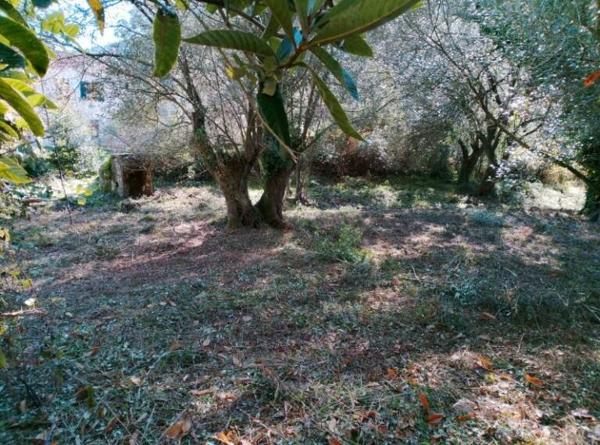 Luri (20228) Terrain ensoleillé 1800 m² avec CU positif