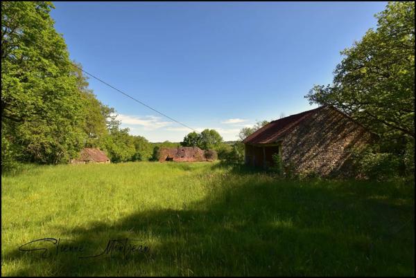 Ensemble immobilier en pierre à rénover, sans voisins, 3 hectares, bois, eau prés.