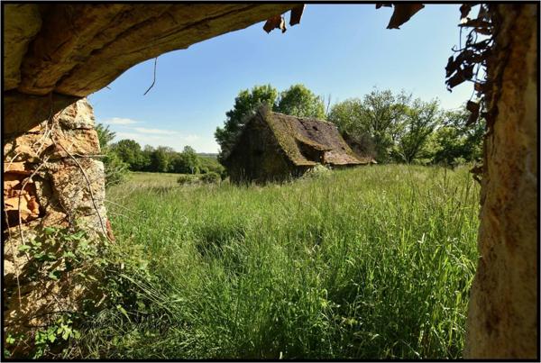 Ensemble immobilier en pierre à rénover, sans voisins, 3 hectares, bois, eau prés.