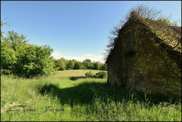 Ensemble immobilier en pierre à rénover, sans voisins, 3 hectares, bois, eau prés.