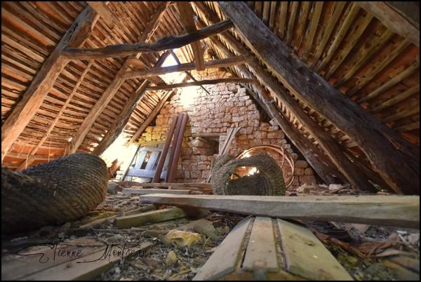 Ensemble immobilier en pierre à rénover, sans voisins, 3 hectares, bois, eau prés.