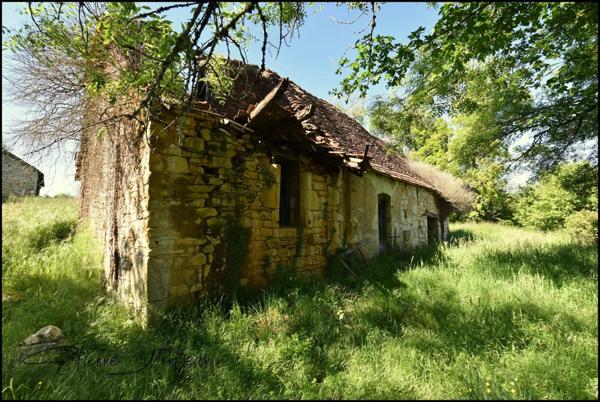 Ensemble immobilier en pierre à rénover, sans voisins, 3 hectares, bois, eau prés.