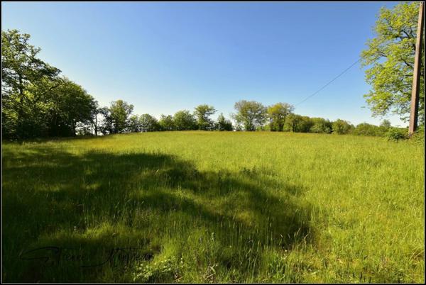 Ensemble immobilier en pierre à rénover, sans voisins, 3 hectares, bois, eau prés.