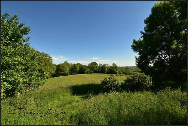 Ensemble immobilier en pierre à rénover, sans voisins, 3 hectares, bois, eau prés.