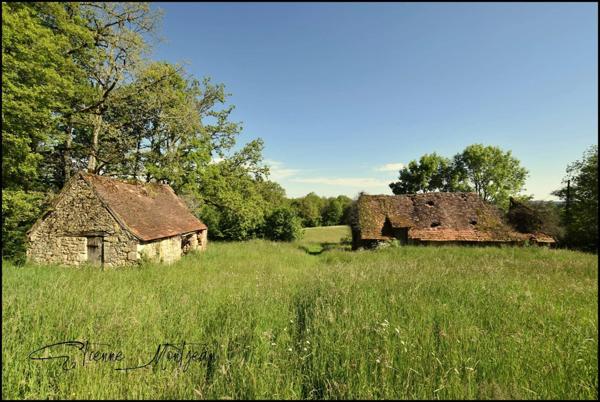 Ensemble immobilier en pierre à rénover, sans voisins, 3 hectares, bois, eau prés.