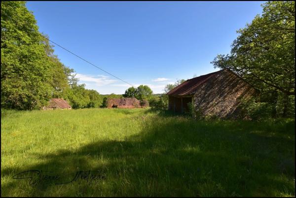 Ensemble immobilier en pierre à rénover, sans voisins, 3 hectares, bois, eau prés.