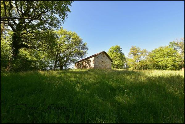 Ensemble immobilier en pierre à rénover, sans voisins, 3 hectares, bois, eau prés.