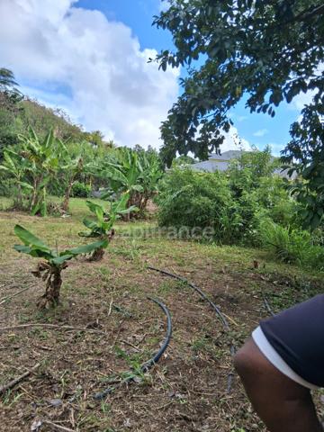 Terrain à vendre 800 M² viabilisé ()