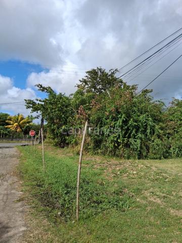 Terrain à vendre 800 M² viabilisé ()