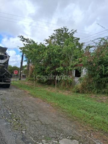 Terrain à vendre 800 M² viabilisé ()