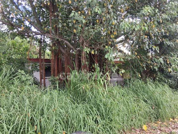 Terrain à vendre 800 M² viabilisé ()