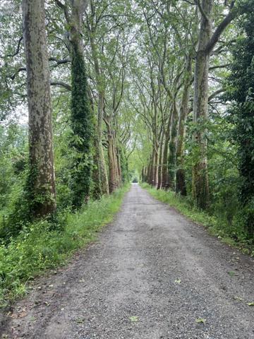 Maison à vendre à Seiches-sur-le-Loir dans le Maine-et-Loire (49140), ref : 49050-508